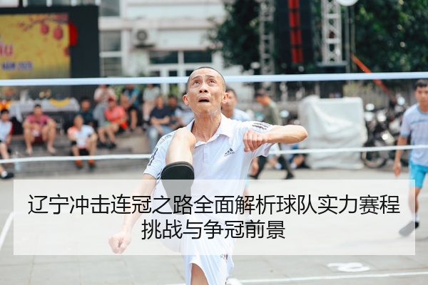 辽宁冲击连冠之路全面解析球队实力赛程挑战与争冠前景